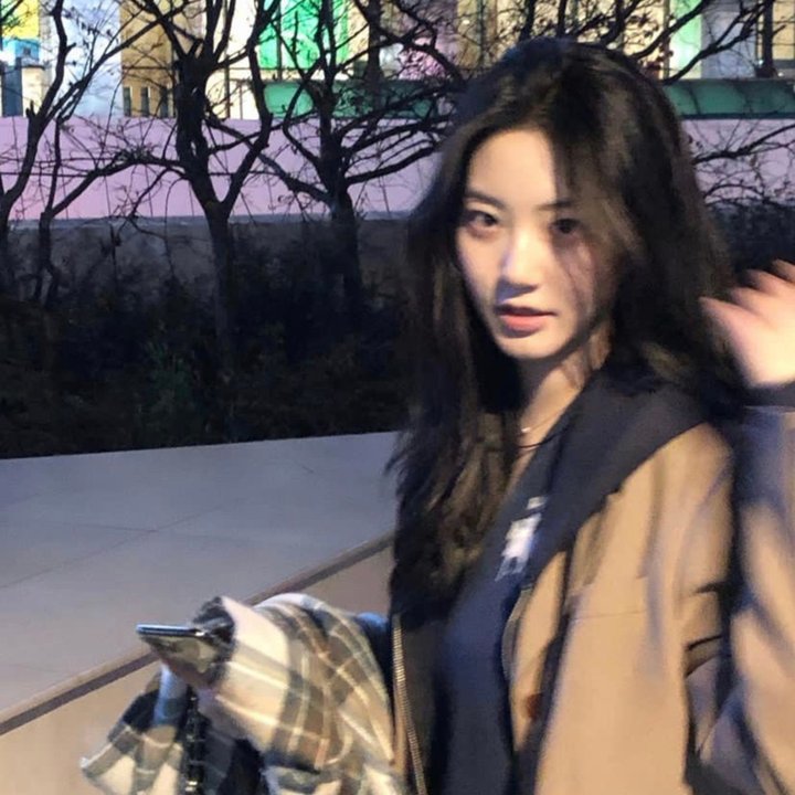 悬崖上的金鱼姬
